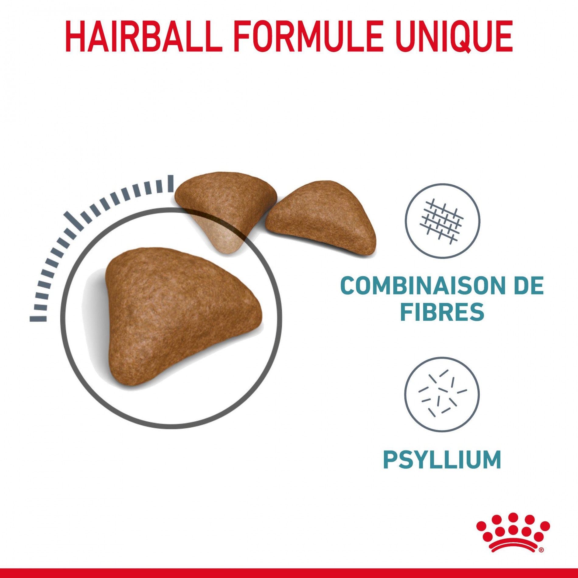 Royal Canin Hairball Care - Croquettes pour chat