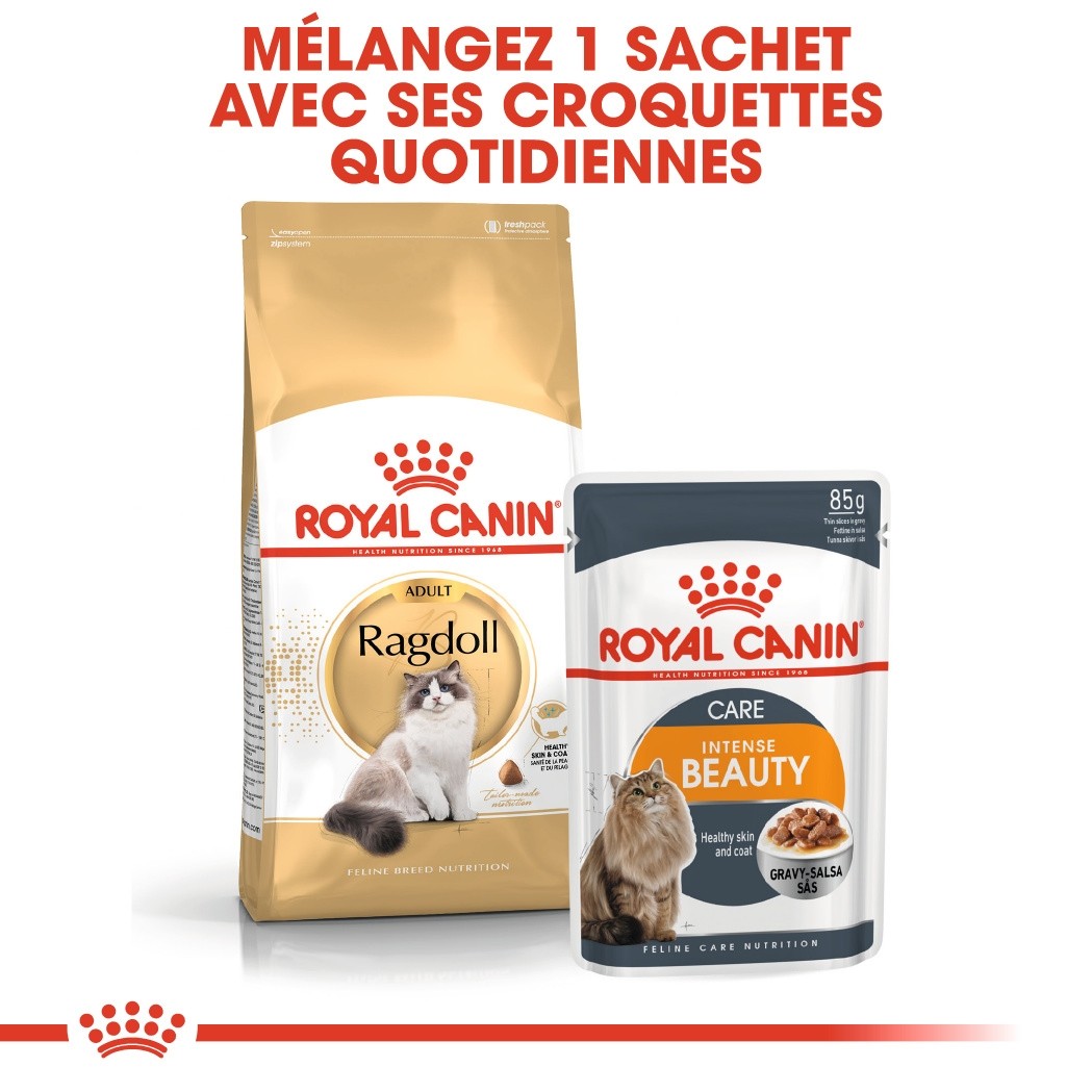 Royal Canin Ragdoll Adult