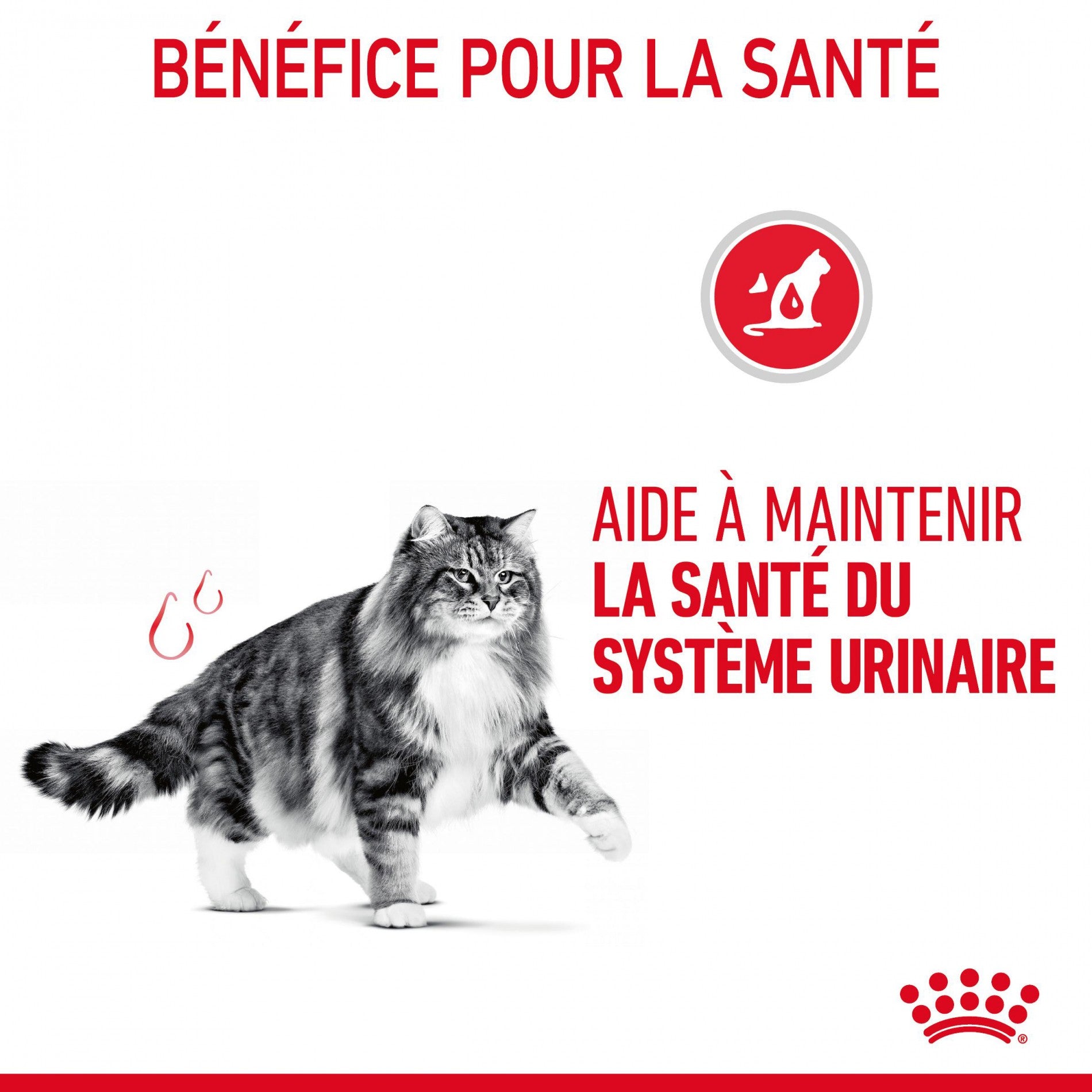 Royal Canin Urinary Care