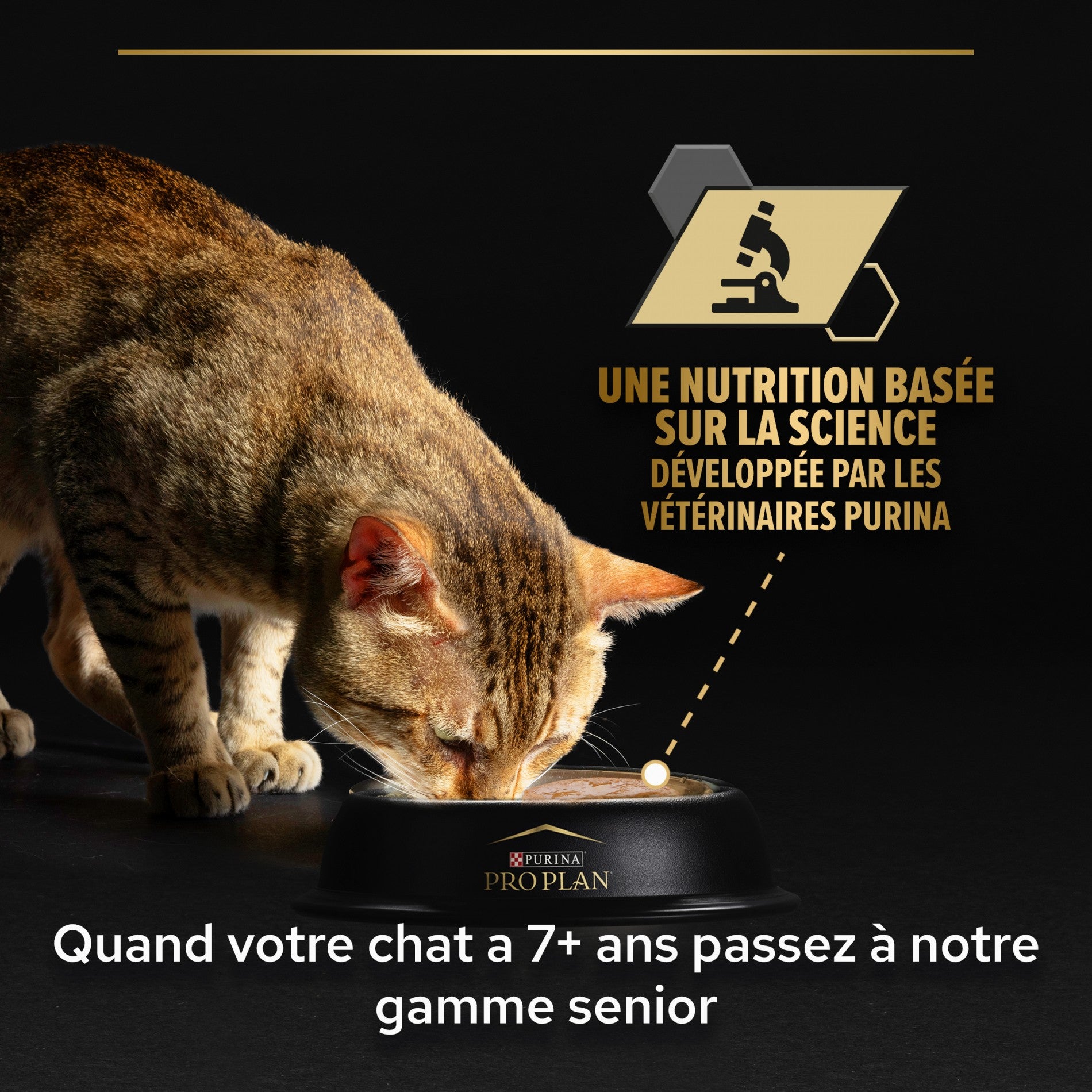 Proplan Nutrisavour Sterilised 7+ Longevis en mousse