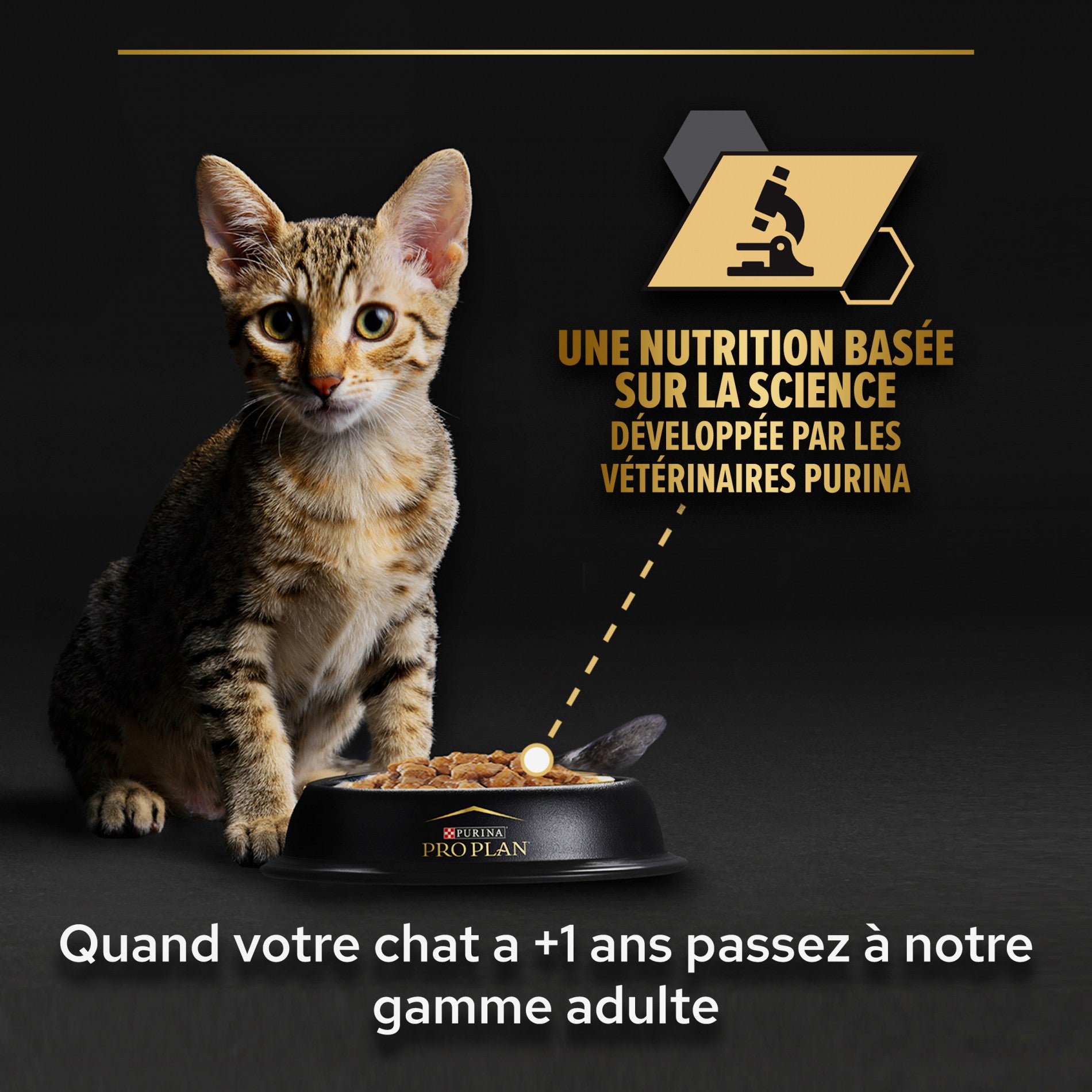 PRO PLAN Healthy Start Kitten en mousse au Poulet - Pâtée pour chaton