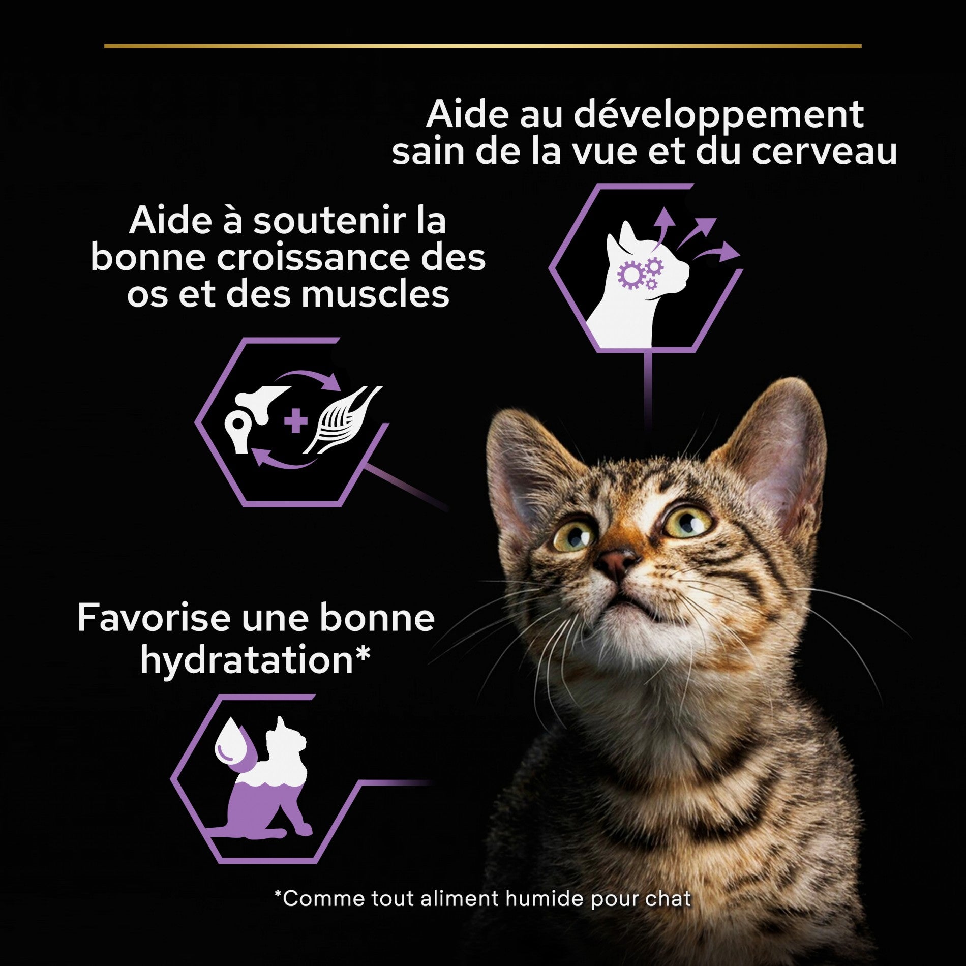 PRO PLAN Healthy Start Kitten en mousse au Poulet - Pâtée pour chaton