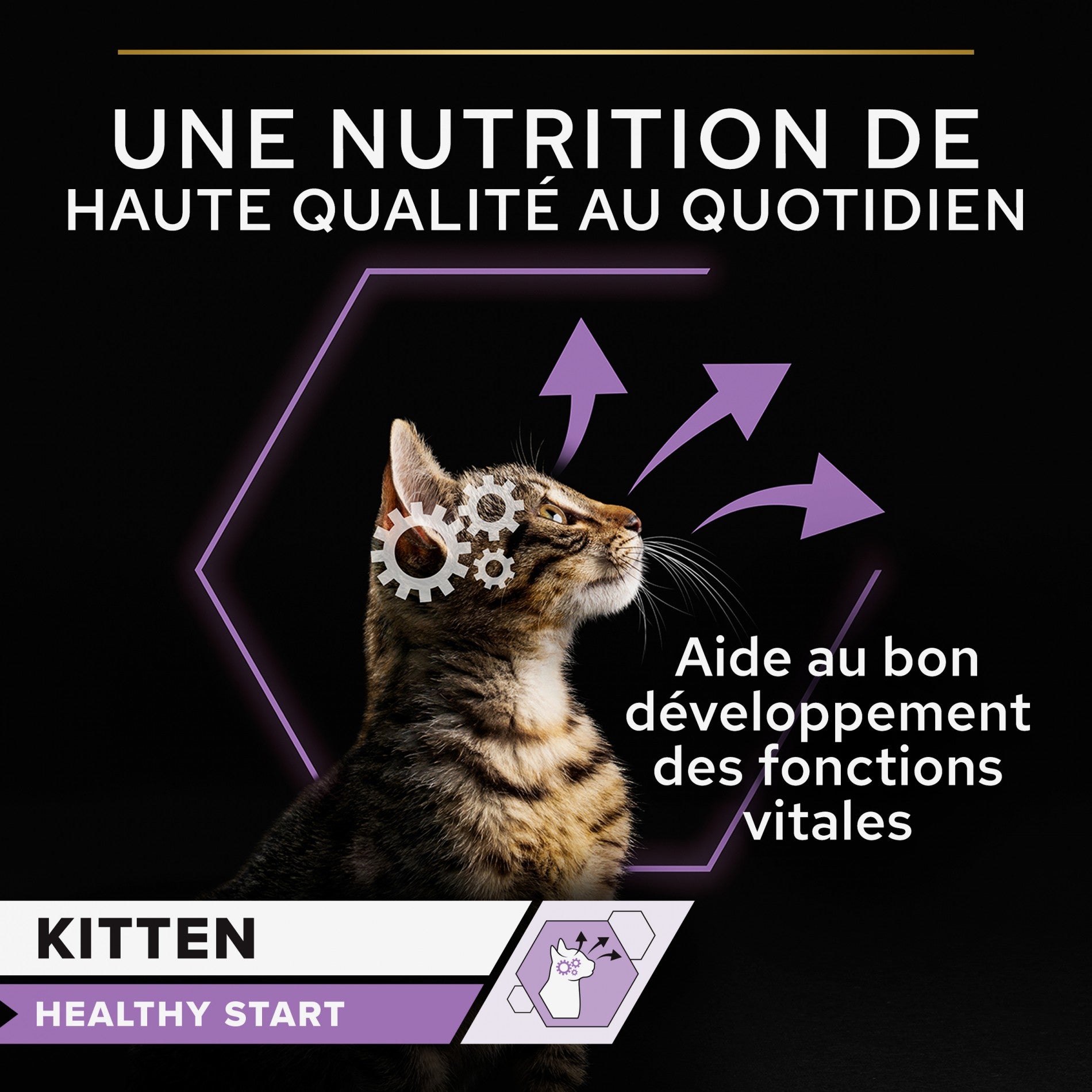 PRO PLAN Healthy Start Kitten en mousse au Poulet - Pâtée pour chaton