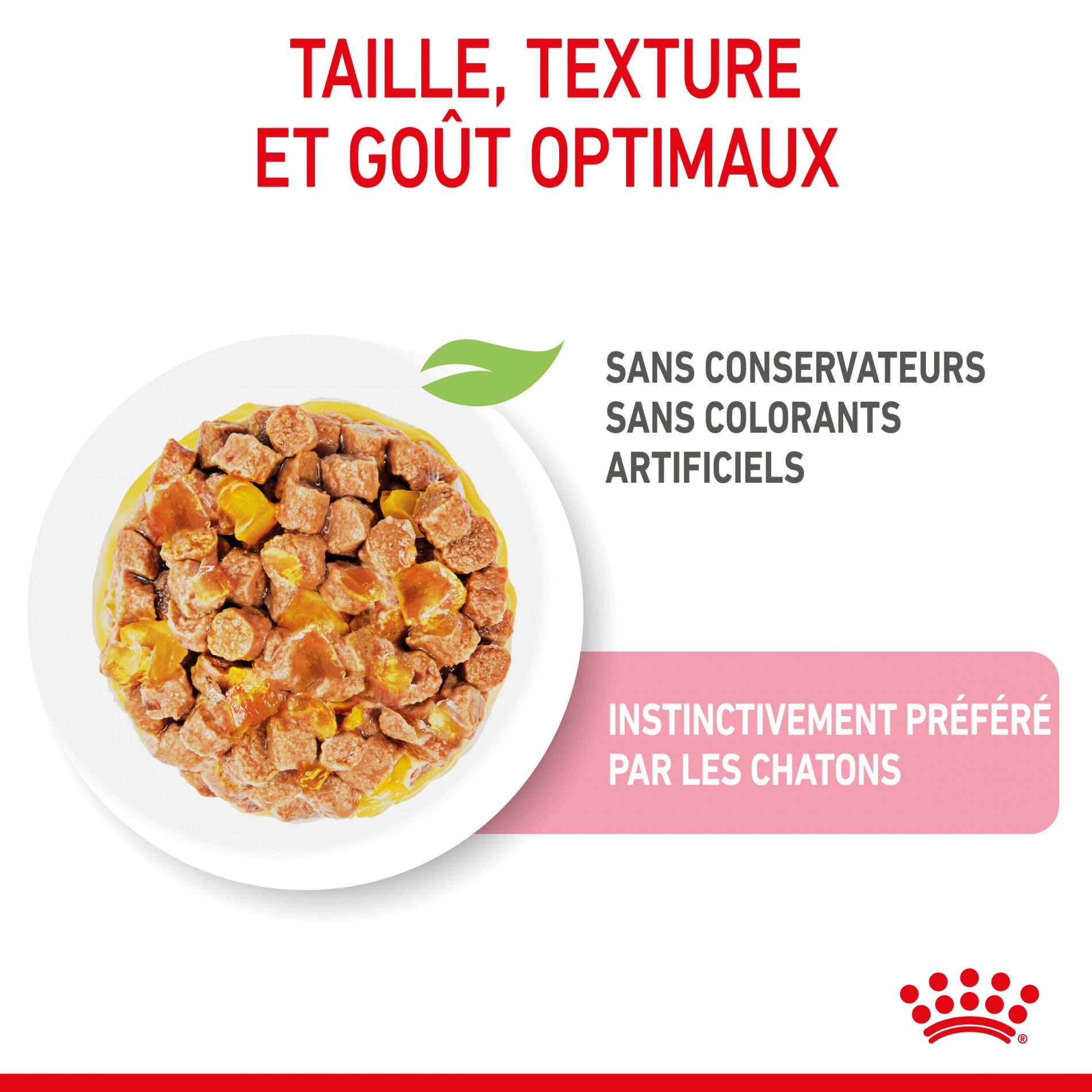 Royal Canin Kitten Sterilised - Gêlée et sauce pour chat