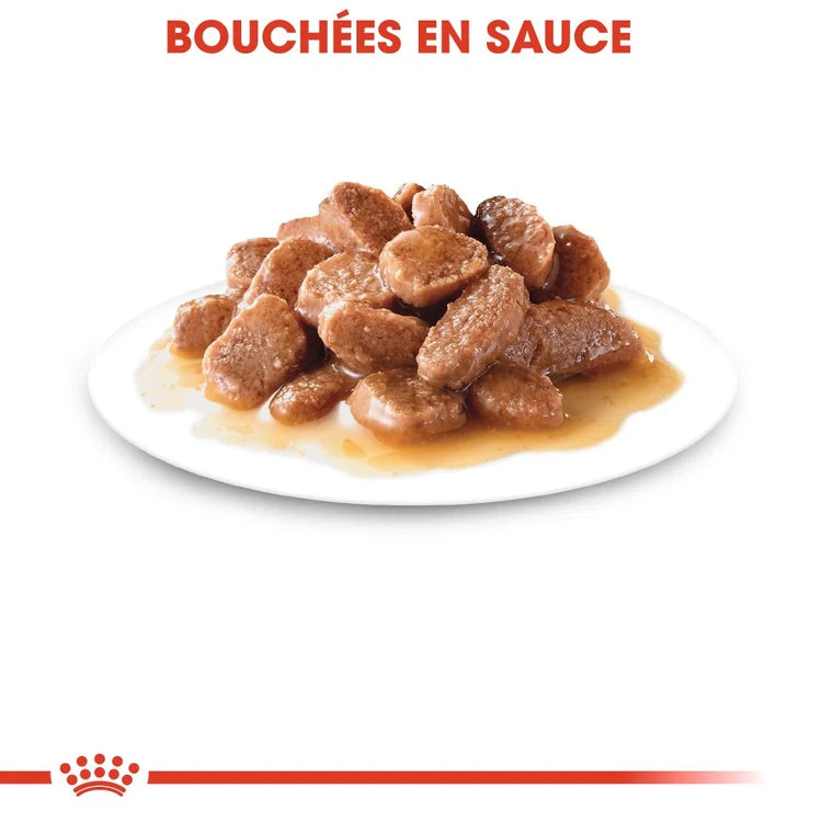 Royal Canin - Instinctive sauce - 12 x 85 g