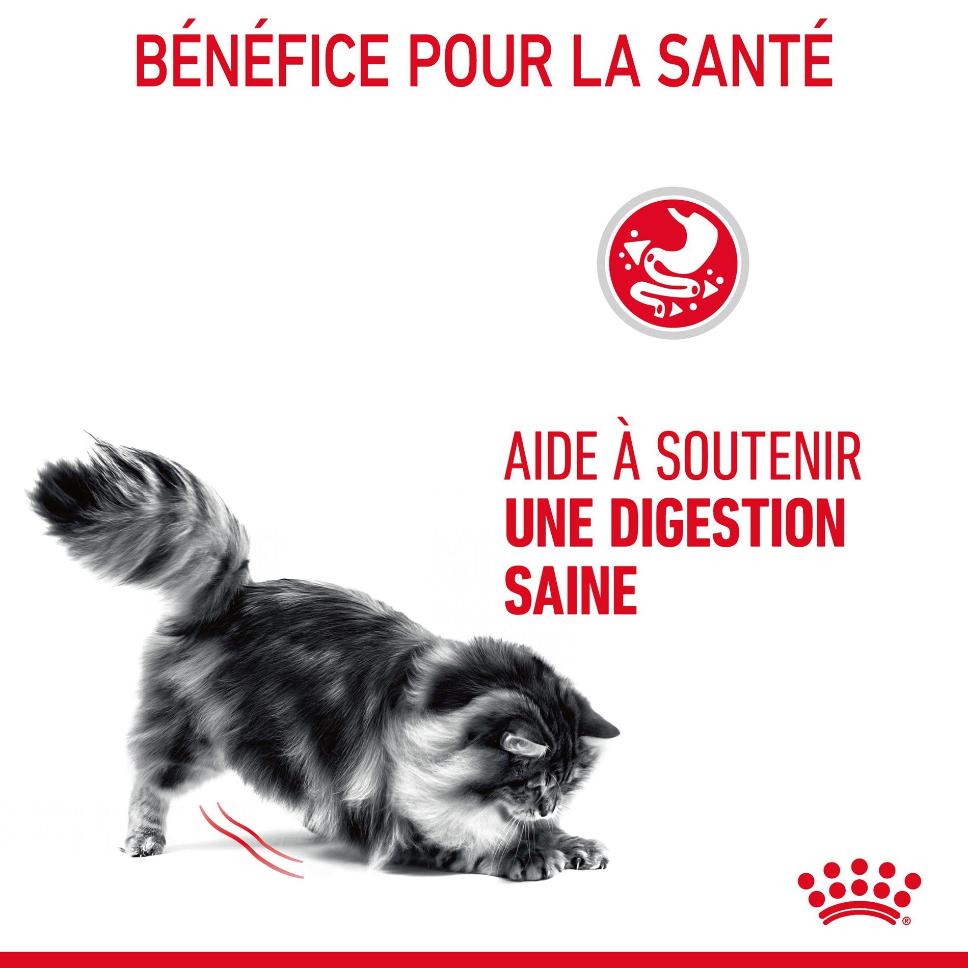 ROYAL CANIN Digestive Care en Mousse – Pâtée pour chat
