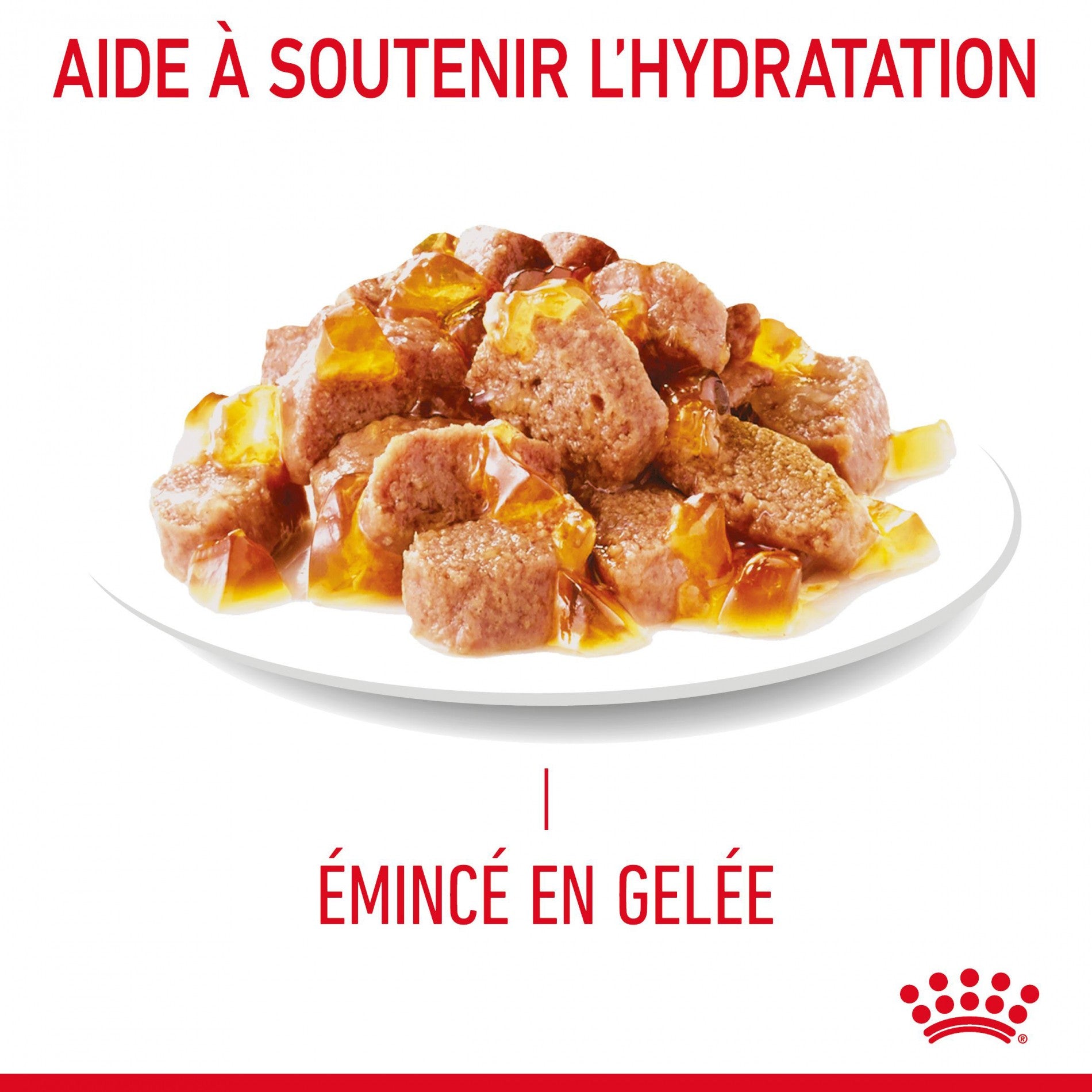ROYAL CANIN Appetite Control en Gelée – Pâtée pour chat