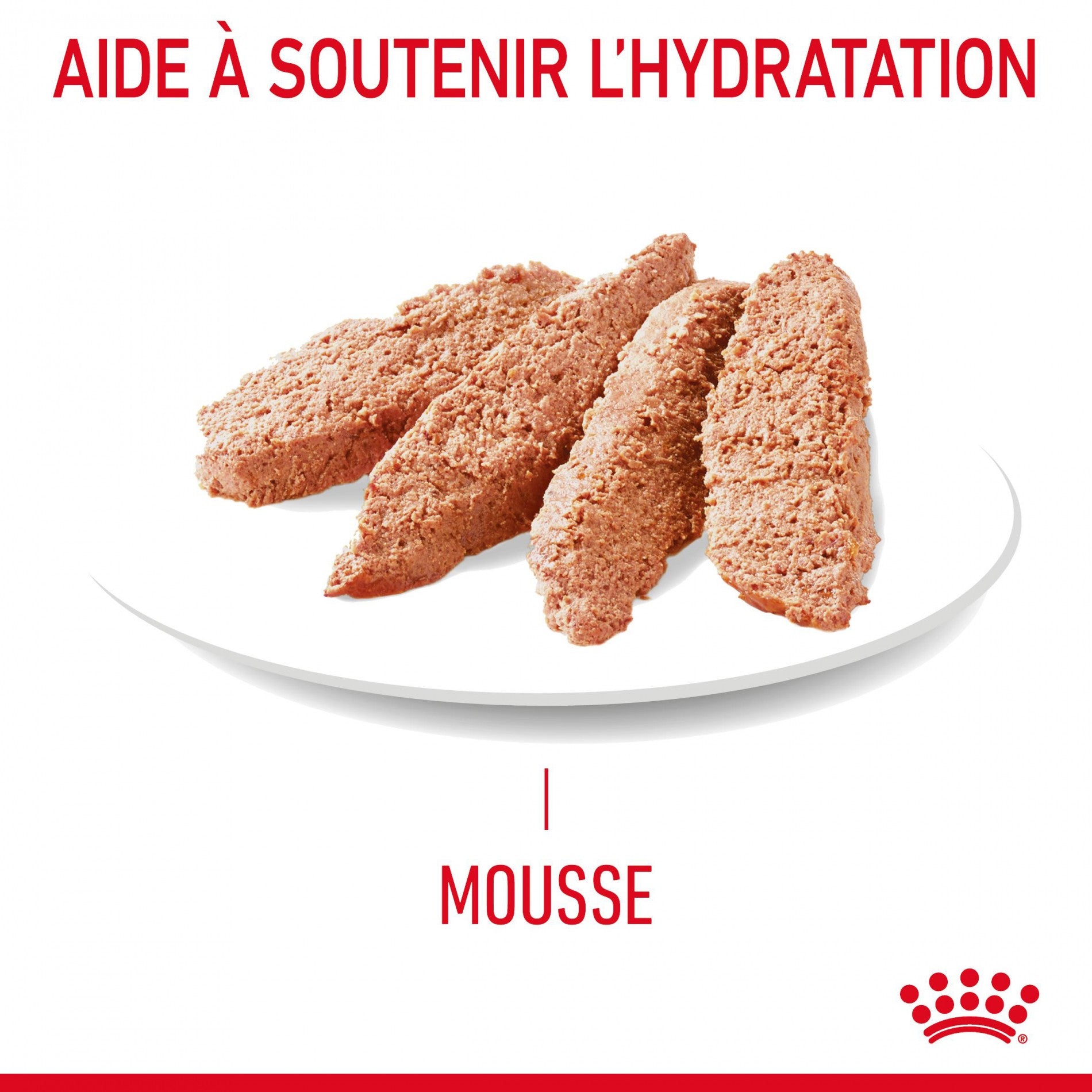 ROYAL CANIN Appetite Control Care en Mousse – Pâtée pour chat