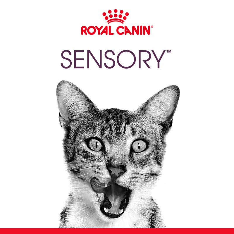 Royal Canin Sensory Feel
