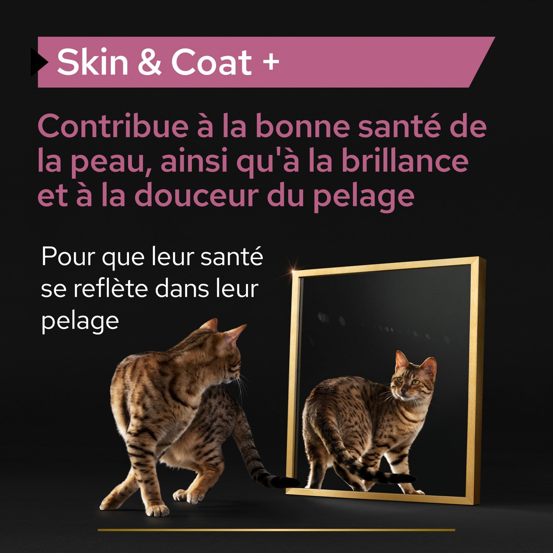 PRO PLAN Skin & Coat+ en huile - Aliment complémentaire pour chat
