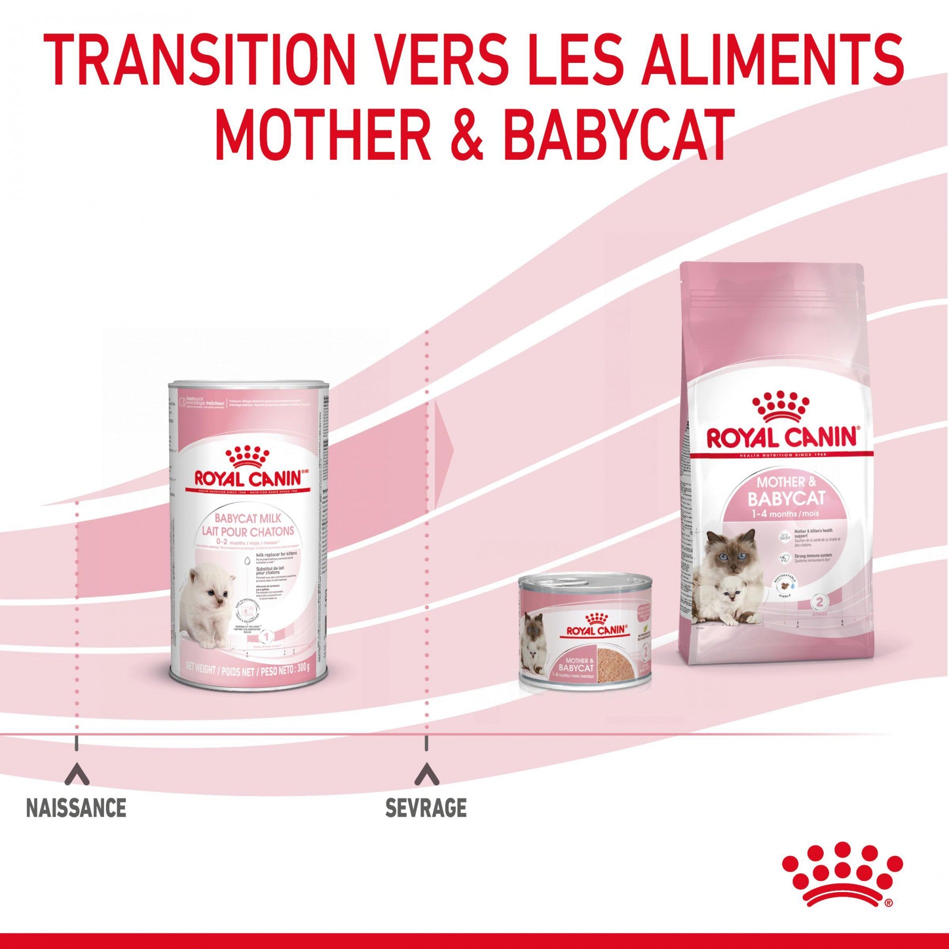 ROYAL CANIN Babycat Milk - Lait maternisé pour chaton