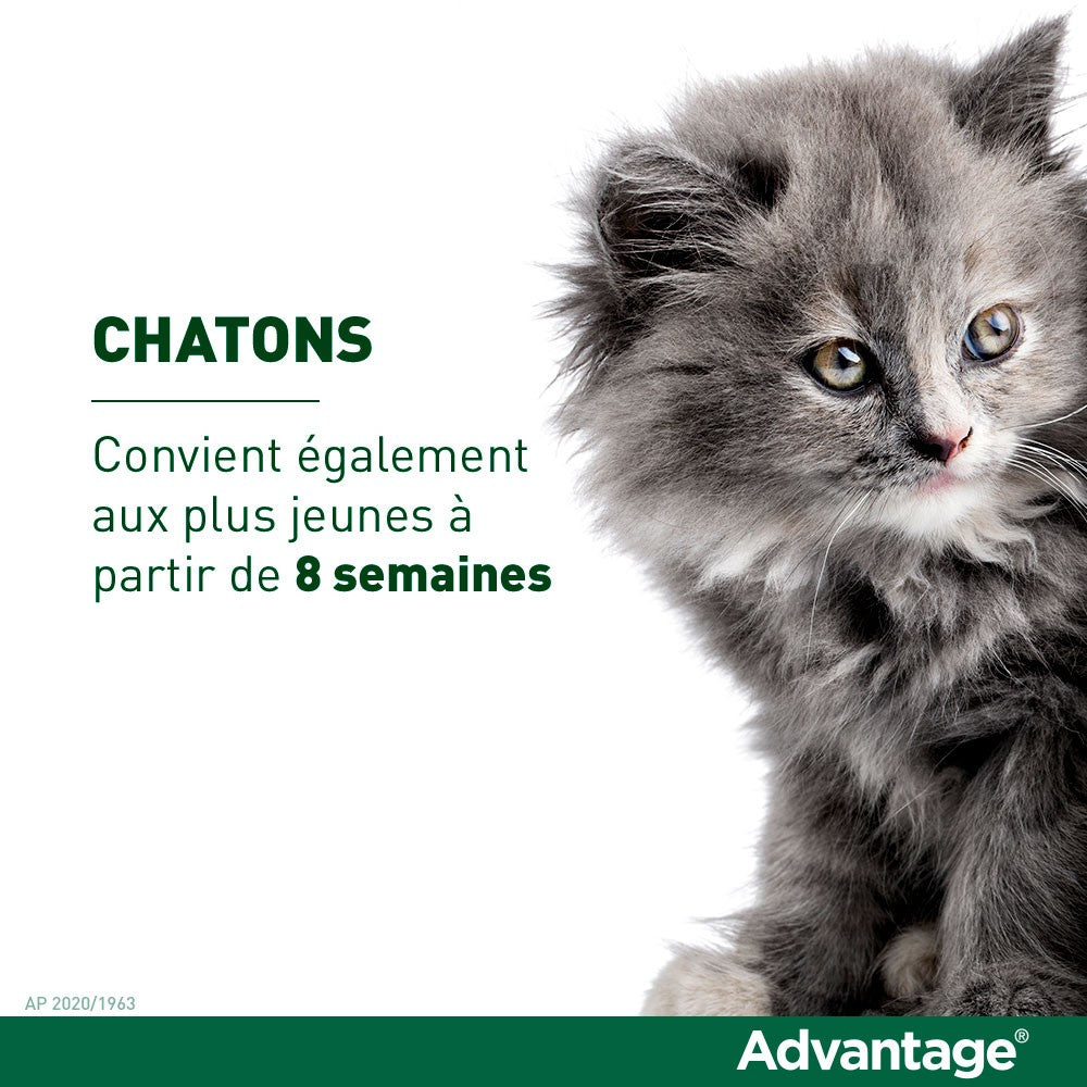 Pipettes Advantage chat