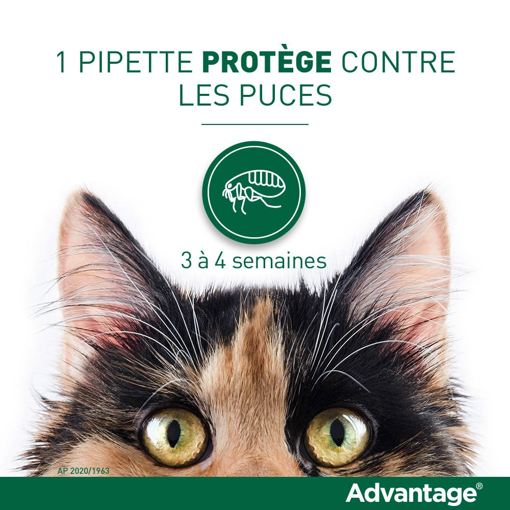 Pipettes Advantage chat