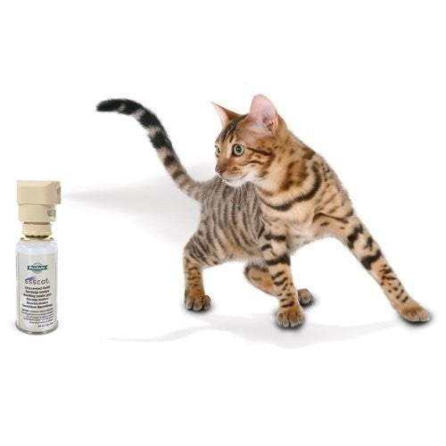 Spray Ssscat