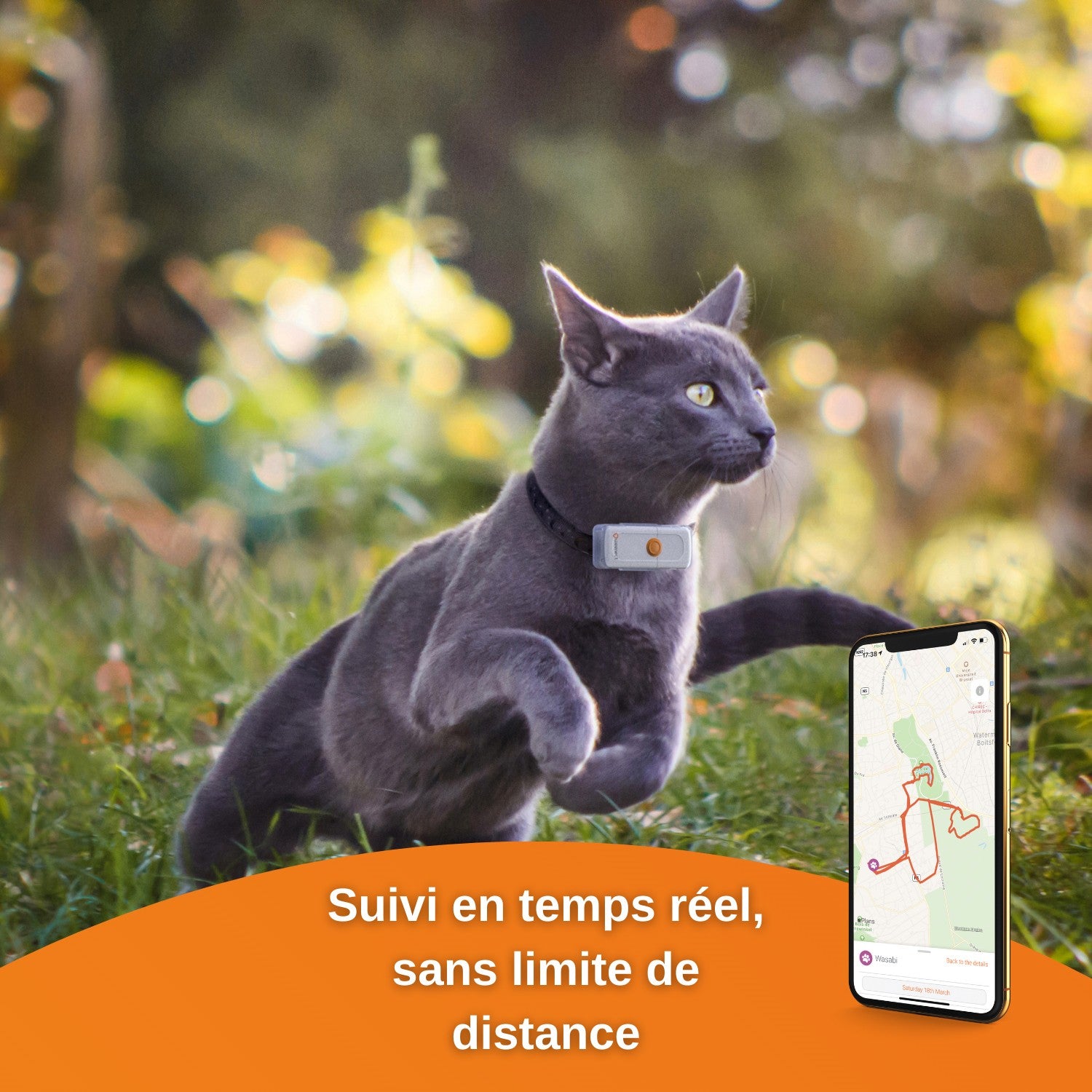 Traceur GPS Cats 2