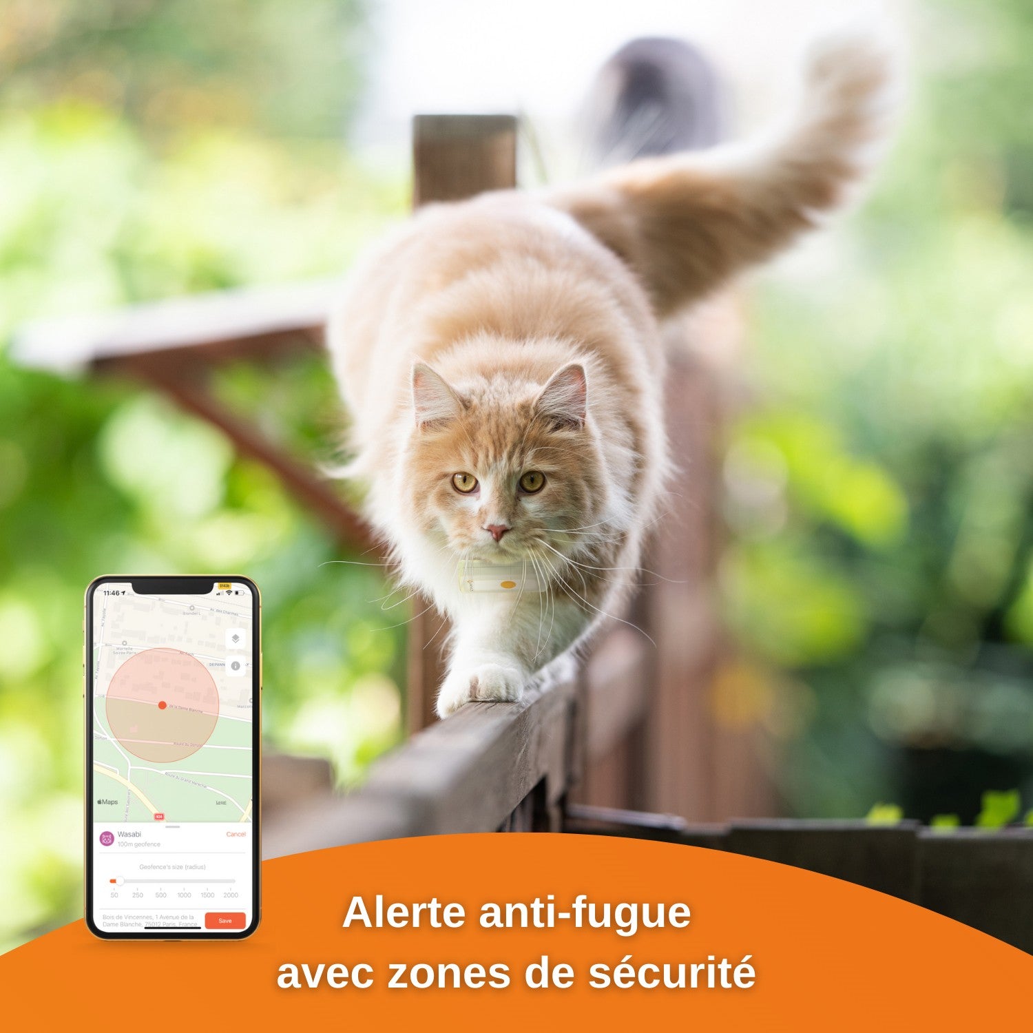 Traceur GPS Cats 2