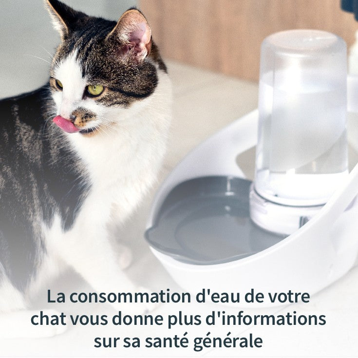 Distributeur d'eau Felaqua Connect