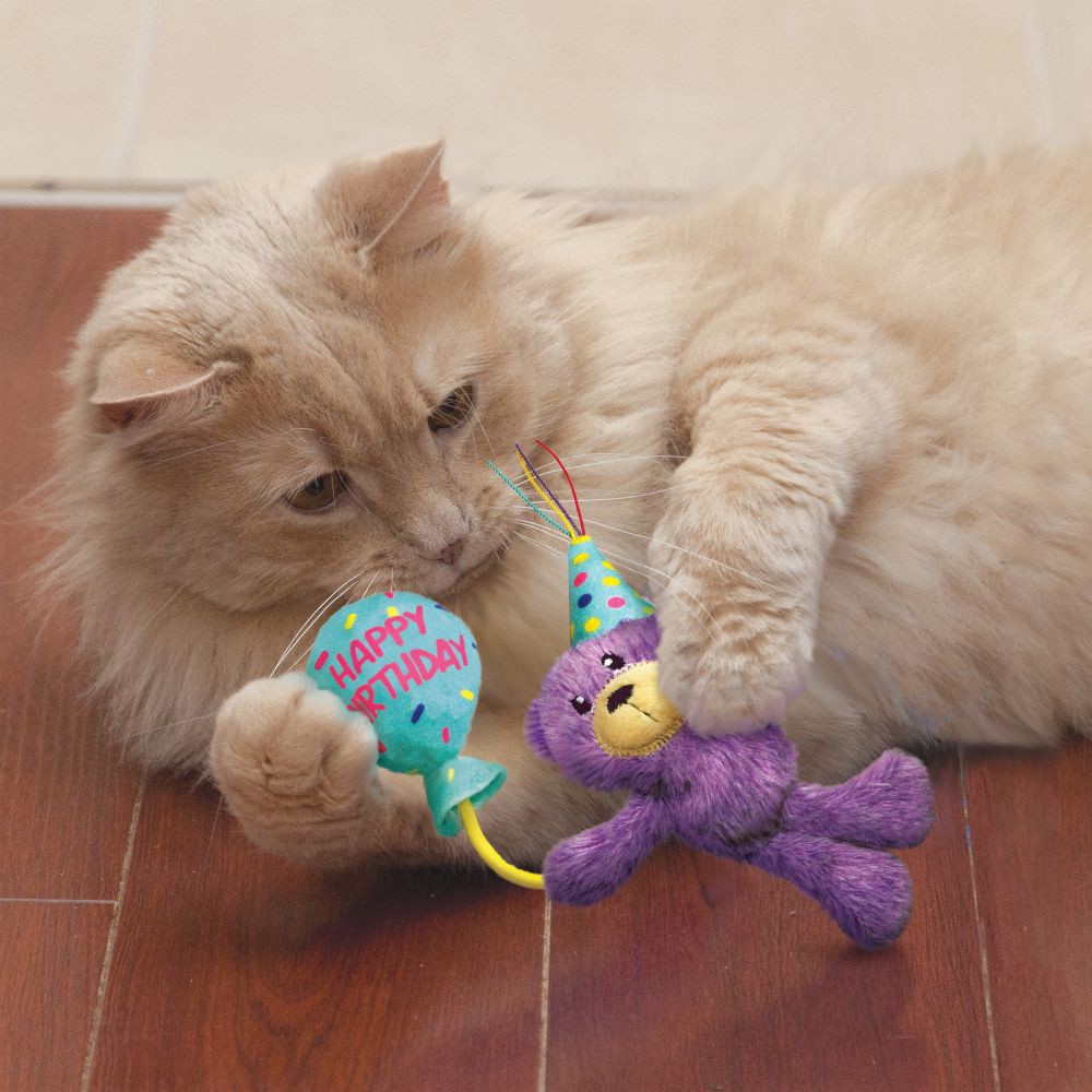 Peluche Birthday Teddy KONG