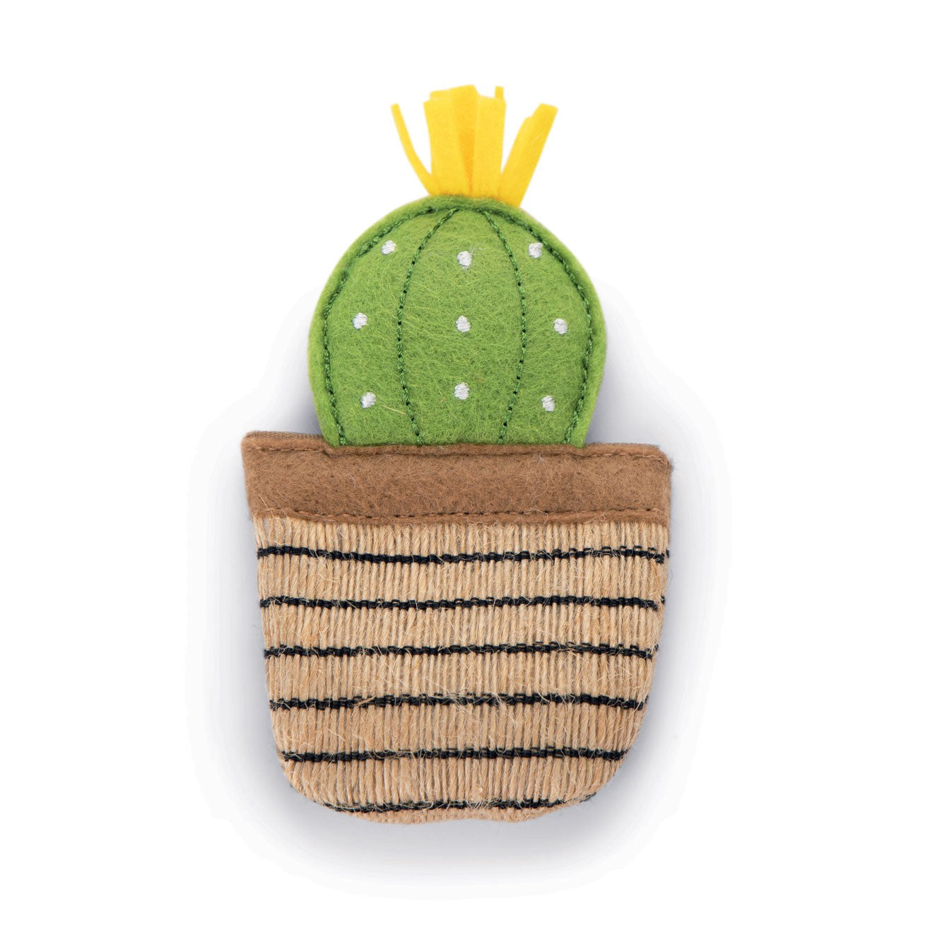 Cactus à l'herbe à chat