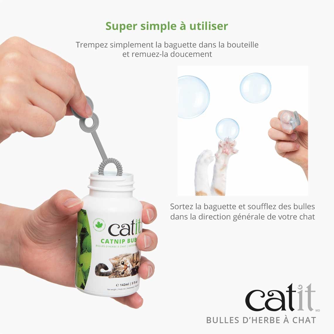 Bulles d'herbe à chat