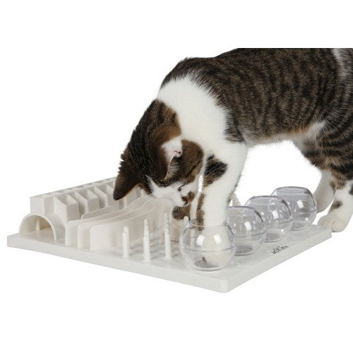Jout éducatif Fun Board