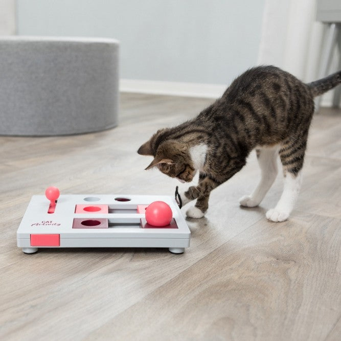 Jeu de stratégie Brain Mover Cat Activity
