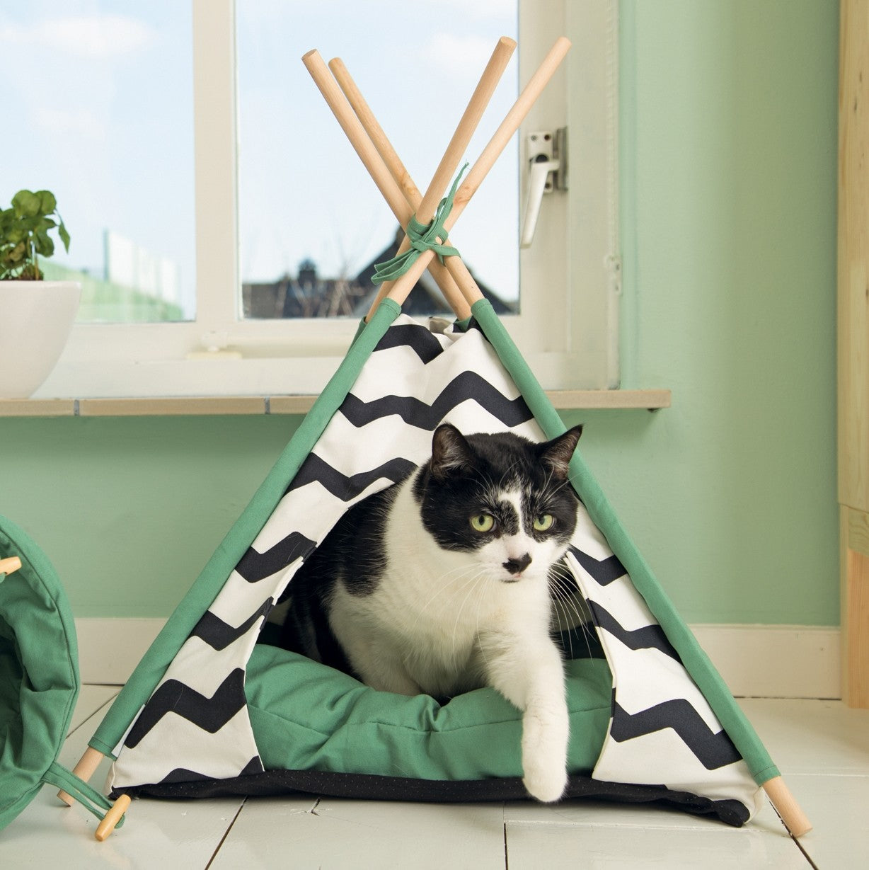 Tipi Bengy