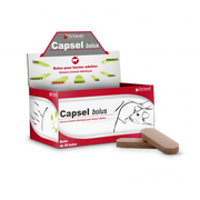 CAPSEL BTE 20 BOLUS