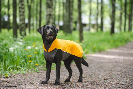 Pomppa Jumppa manteau polaire grand chien