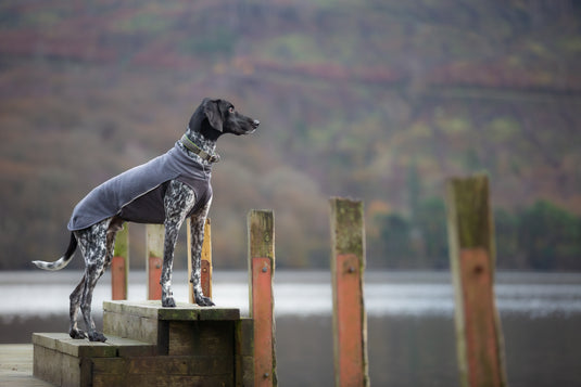 Pomppa Jumppa manteau polaire grand chien