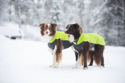 Pomppa Jumppa manteau polaire grand chien