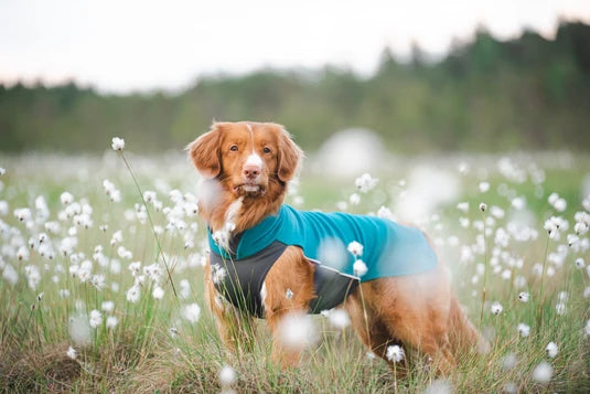 Pomppa Jumppa manteau polaire grand chien