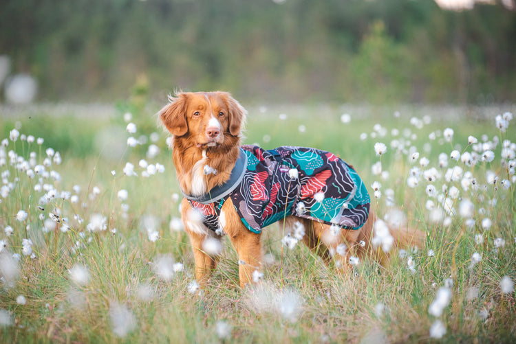 Pomppa Sade Manteau impermeable