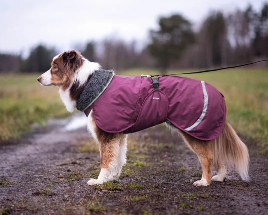 Pomppa Toppa manteau impermeable doublé pour petit chien