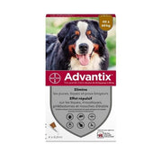 ADVANTIX TRES GRAND CHIEN 24 PIP