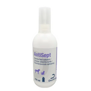 ANTISEPT 250 ML