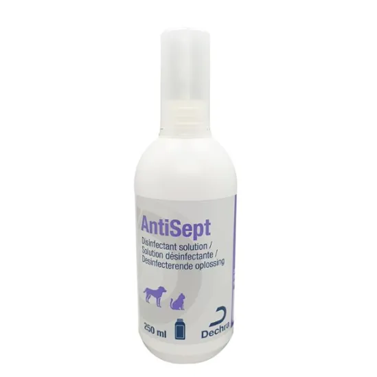 ANTISEPT 250 ML
