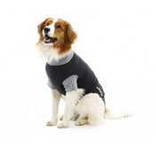 BODY CHIEN 62 CM XL