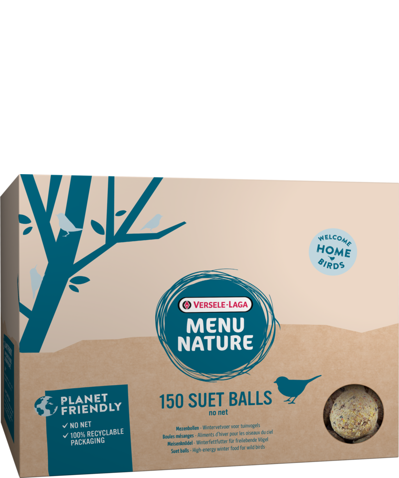 Boule mésanges - aliment d'hiver gras pour les oiseaux de la nature (sans filet, sans plastique, dans seau)