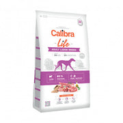 Cal Lf Chien Adult