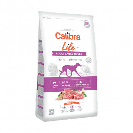 Cal Lf Chien Adult