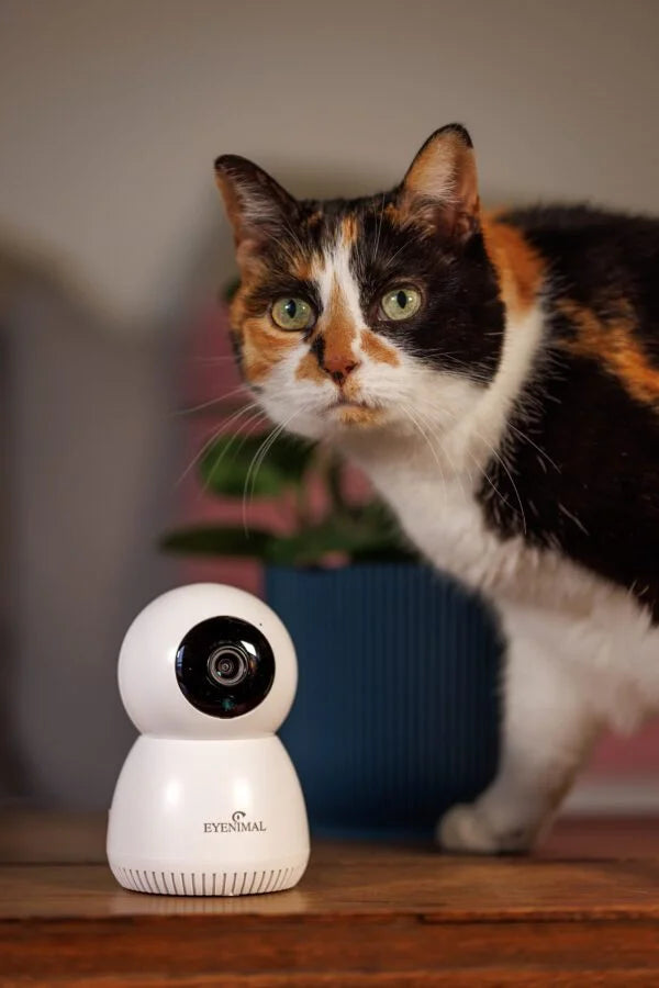 CAMERA PET VISION LIVE FULL HD
