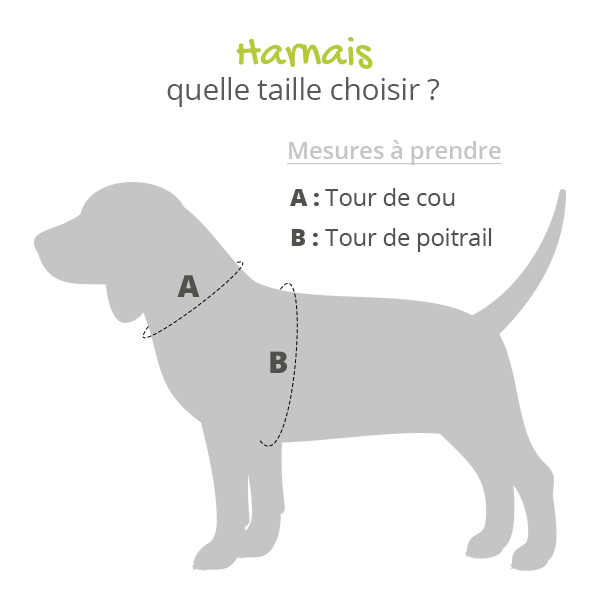 Harnais Momentum Rouge