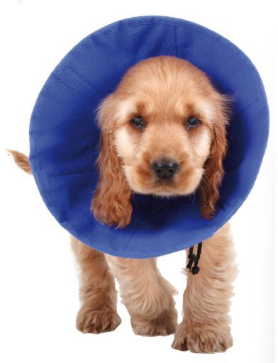 CARCAN EZ SOFT 14 CM