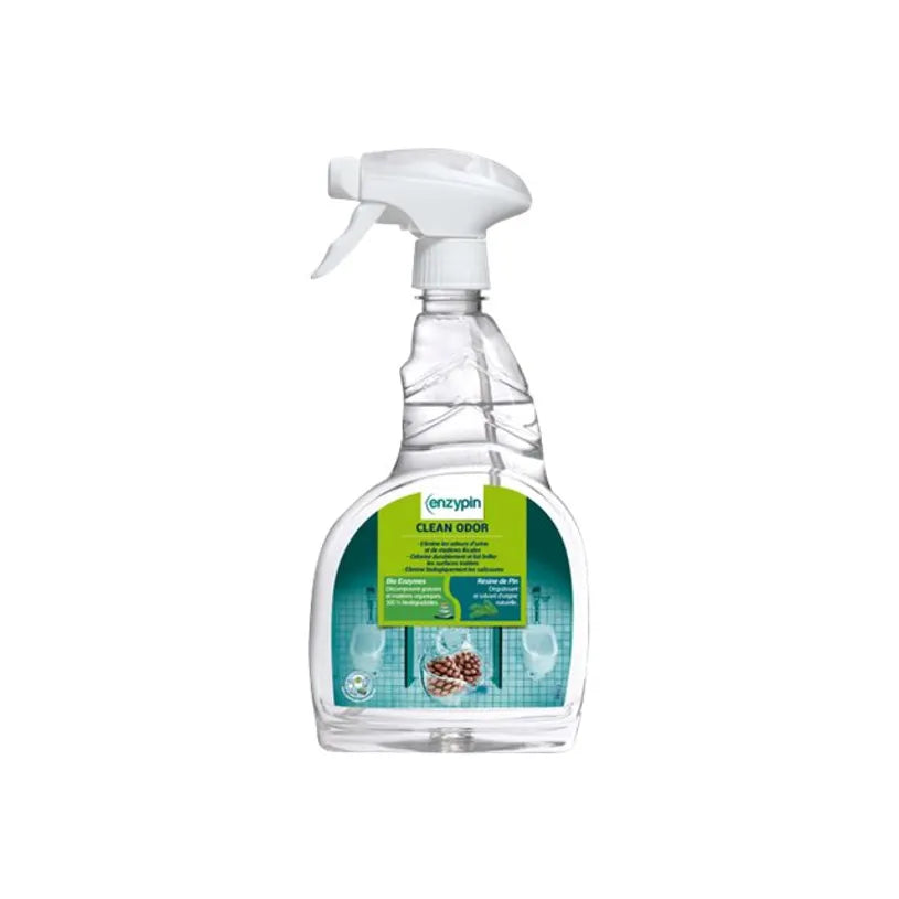 Clean odor