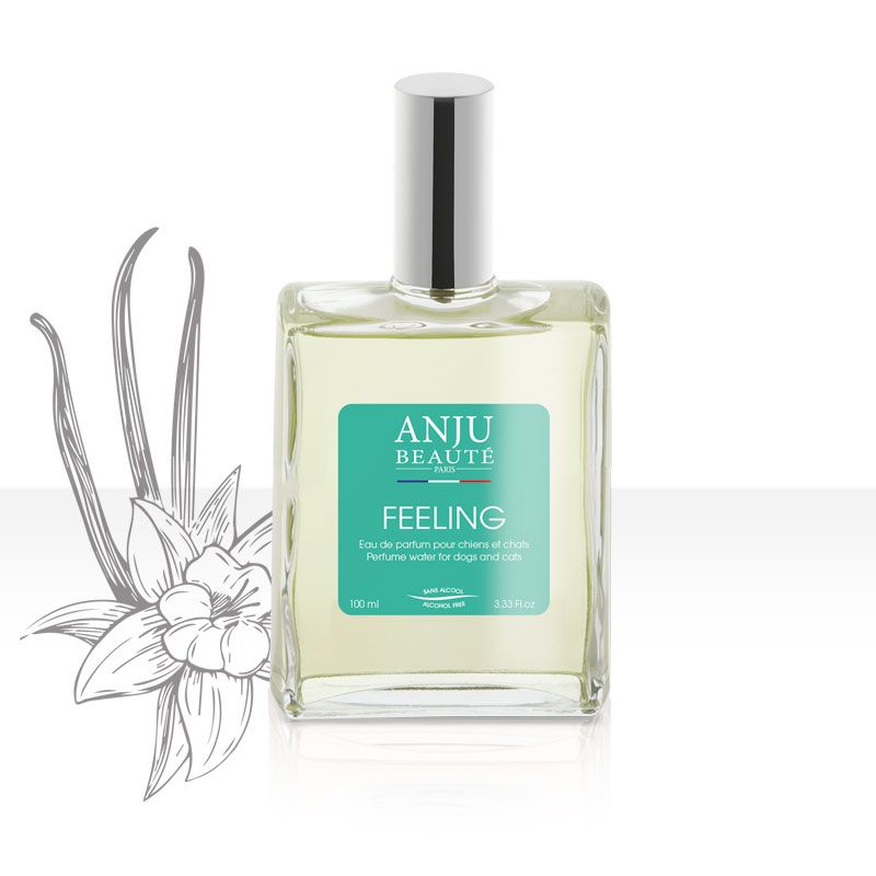 Anju Beaute Eau de parfum Feeling