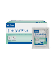 ENERLYTE PLUS 24 X 100 GR