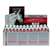 EQUISTRO IPALIGO FOAL 48 SER