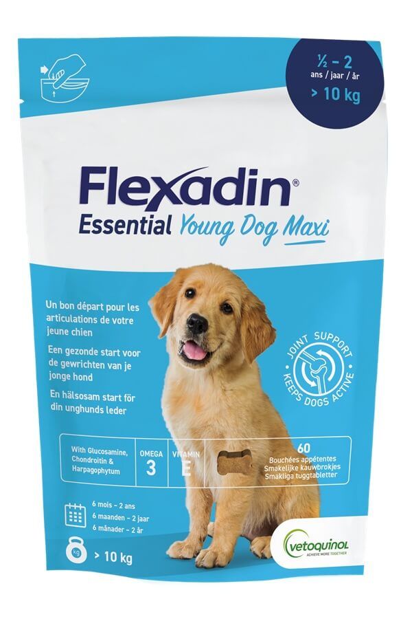 Vétoquinol - Flexadin Young Dog Maxi - 60 bouchées appétentes