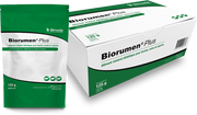 BIORUMEN PLUS BTE 10 SACHETS X 125G